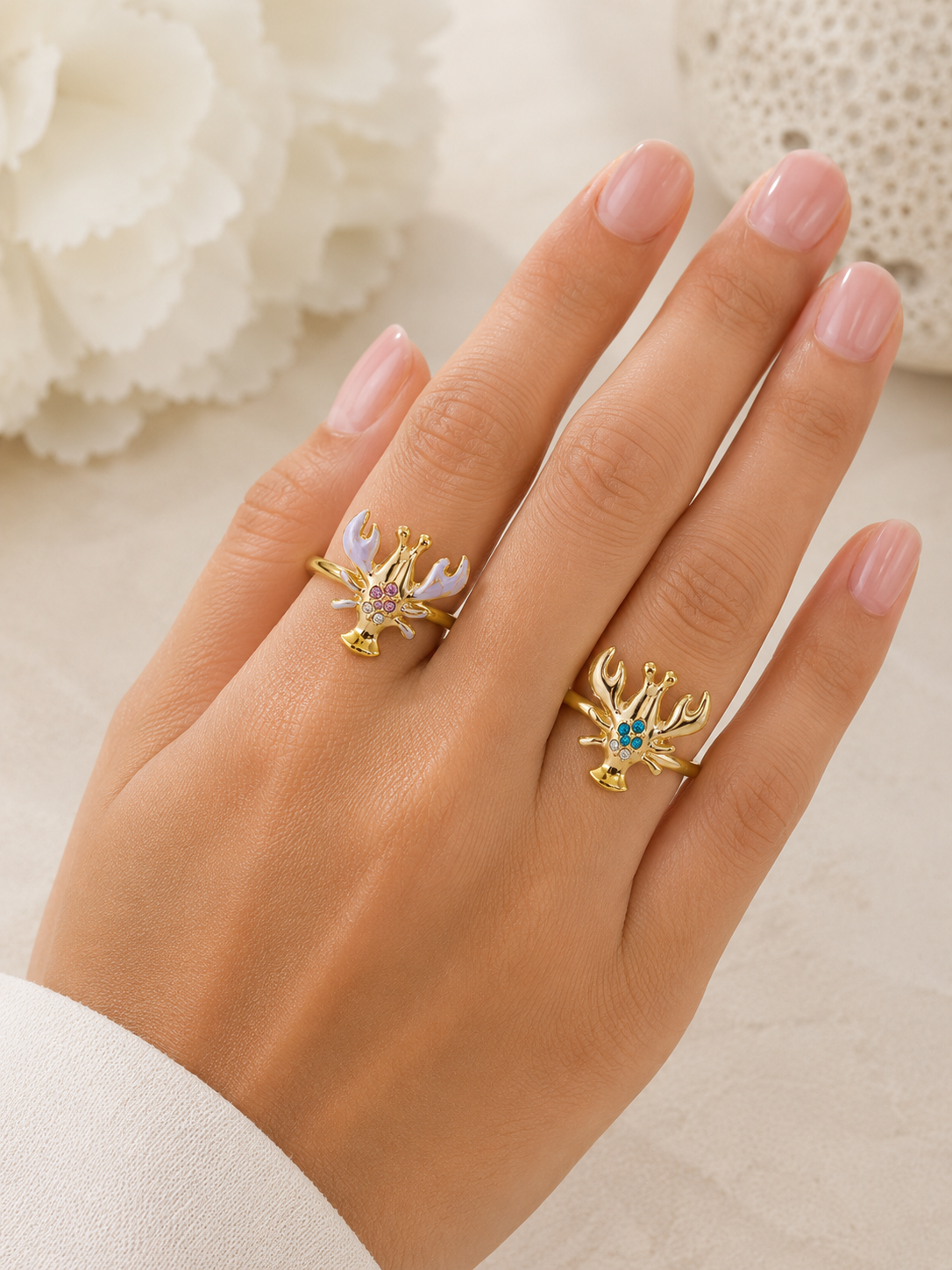Anello summer Lobster